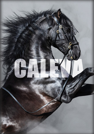 Caleva Catalog